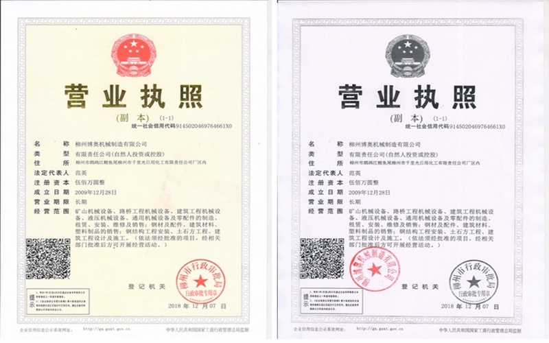 公司2009年成立